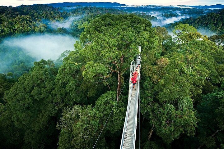 Ketamine in Monteverde