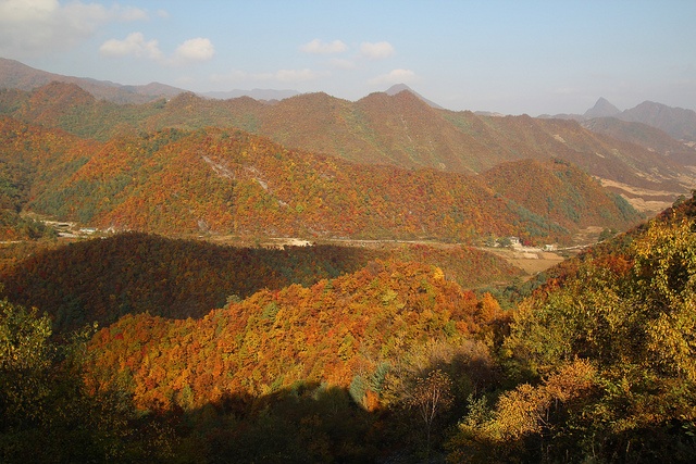Ketamine in Wonsan